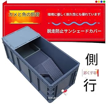Amazon | KOKUMON 亀水槽 特大サイズ 亀・特大亀用飼育ケース 蓋